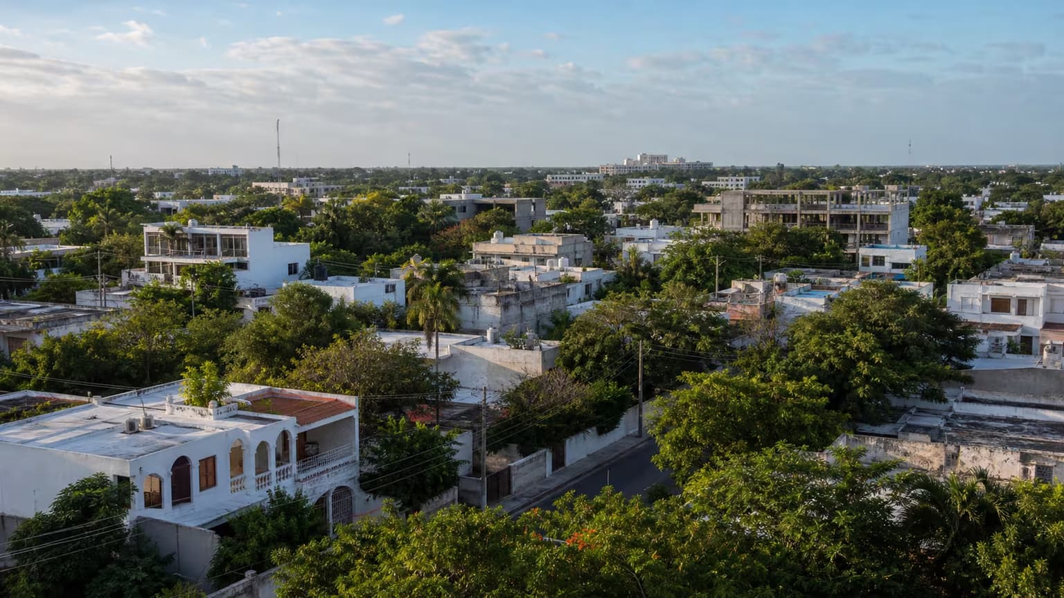 Vista elevada de una zona residencial de Mérida con vegetación y crecimiento urbano